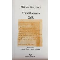 Köpüklenen Gök (2. EL)