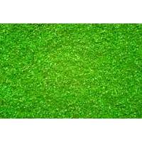 Noch Dağ Otlağı 42gr