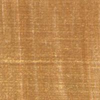PonART Troya Yağlı Boya Altın 37 ml