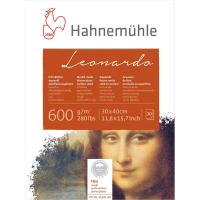 HM Leonardo B rough600g 30X40cm 10ya