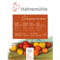 HM Cezanne B rough 300g 10ya 36x48cm