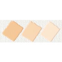 Nerchau Hobby Akrilik Glossy Ten Rengi 59ml
