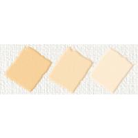 Nerchau Hobby Akrilik Matt Ten Rengi 59ml