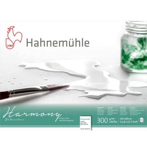 HM Harmony Hp 300 g 30x40cm
