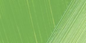 Lukas Terzia Yağlı Boya Kromoksit Yeşil-Açık 200ml