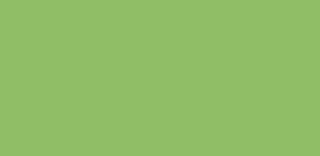 Nerchau Koyu Kumaş Boyası Açık Yeşil 59ml
