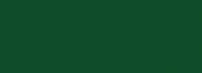 Nerchau İpek Boyası Koyu Yeşil 59 ml