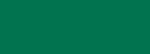 Nerchau Porselen Boyası Koyu Yeşil 20ml